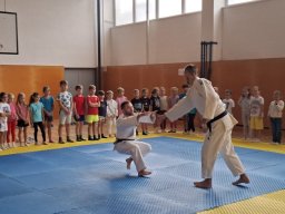 2.A - judo